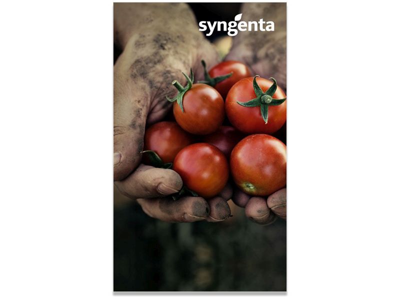 Syngenta Internal Branding 36x60 2.jpg